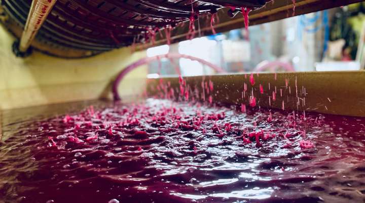 Domaine Rémi Gauthier - vigneron