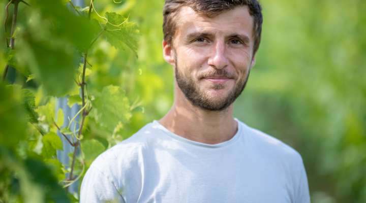 Domaine Rémi Gauthier - vigneron