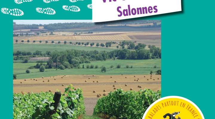 Balades ludiques - Vic-Sur-Seille - Salonnes
