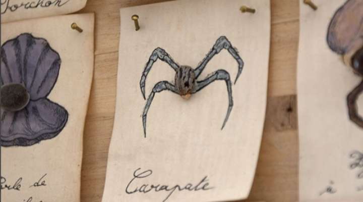 Printemps du dessin - Deux ateliers, deux artistes (dès 15ans)