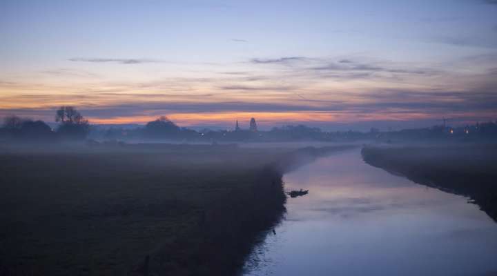 A la découverte de la flore halophile des mares salées du Pays du Saulnois