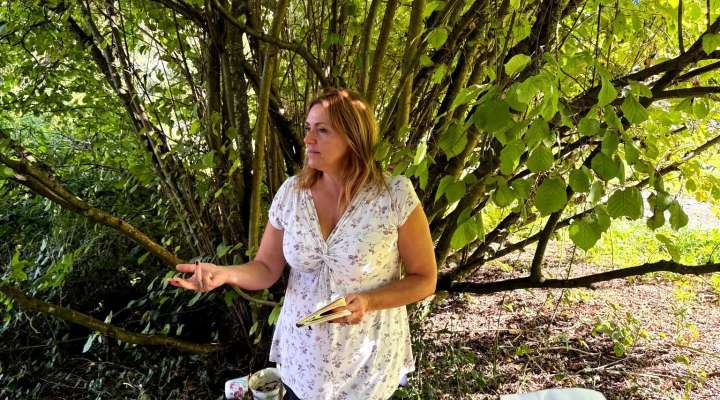 Entre sel et seve, découverte des plantes médicinales du Saulnois