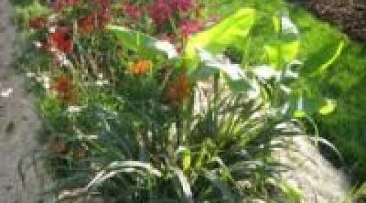 Les jardins passerelles