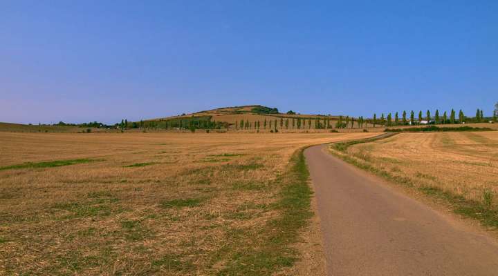 Rundgang an der Küste von Delme