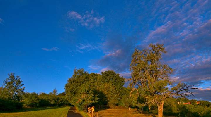 Die Hügel des Metzer Landes
