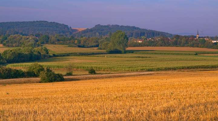 Grüner Weg des Landes von Pange