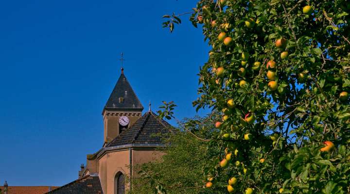 Fahrradtour durch die Teiche - Rhodes - Lindre - Kanal