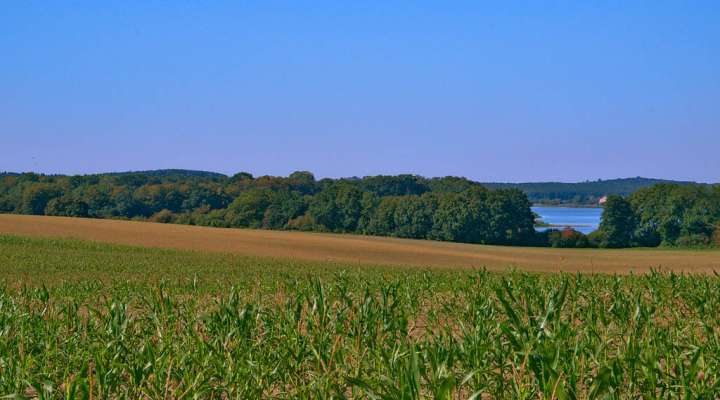 Fahrradtour durch die Teiche - Rhodes - Lindre - Kanal