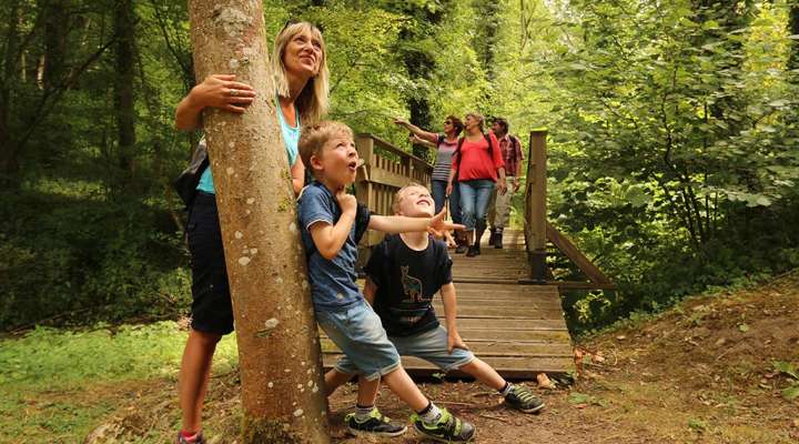 Rundgang durch den Pavillon