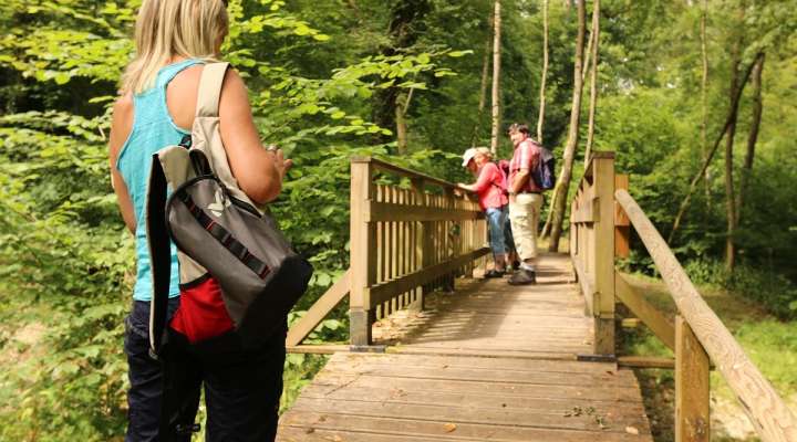 Rundgang durch den Pavillon
