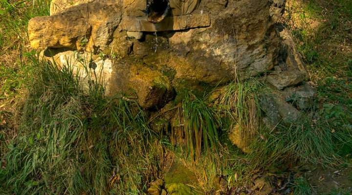 Pfad durch das Naturschutzgebiet von Montenach