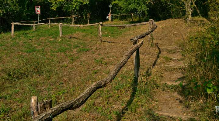 Pfad durch das Naturschutzgebiet von Montenach