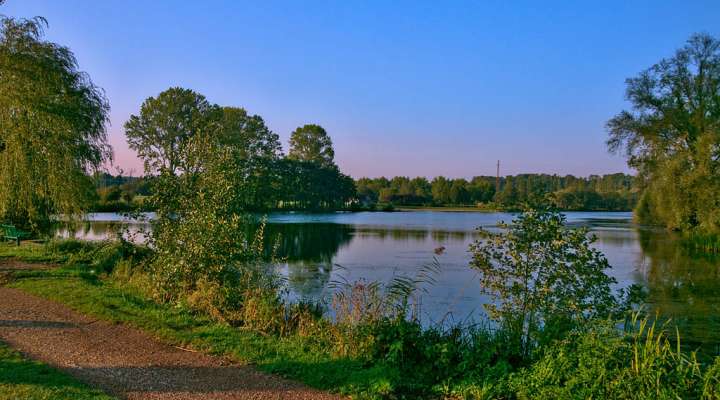 Wanderweg Réding - Sarrebourg