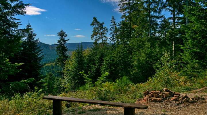Wanderweg zum gallo-römischen Friedhof