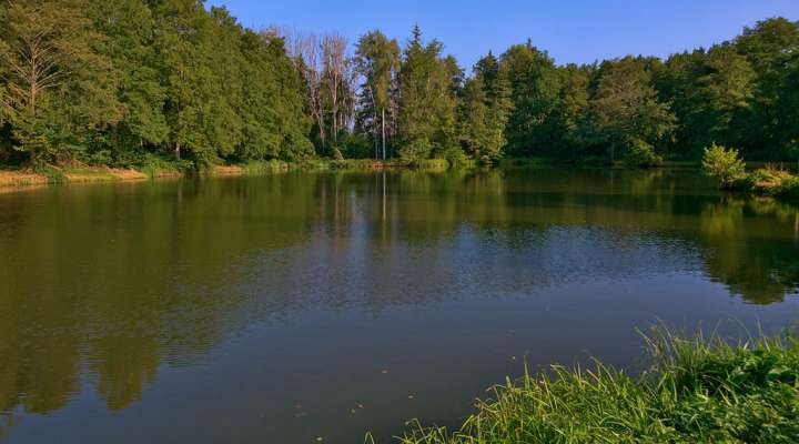 Radrouten ab Center Parcs