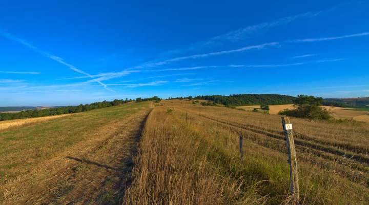 GR501 von Plappeville nach Bouxieres-sous-Froidmont