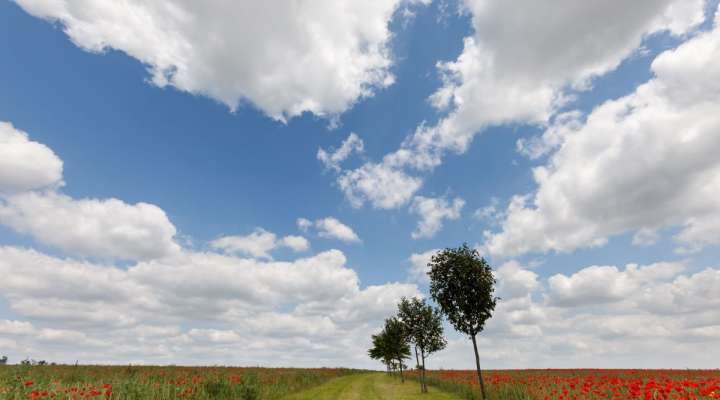 Rundgang durch die Mühlen
