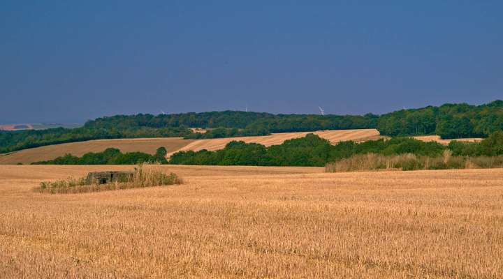 Bambesch-Tal-Rundweg