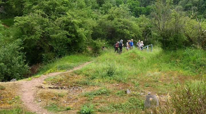 Quarzit-Rundgang (vorläufig)