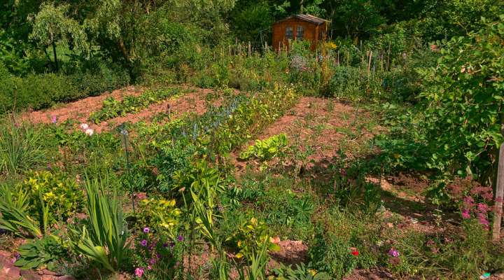 Rundfahrt auf dem altenberg (geschlossen)
