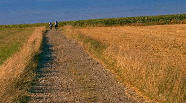 Rundgang durch Obstgärten