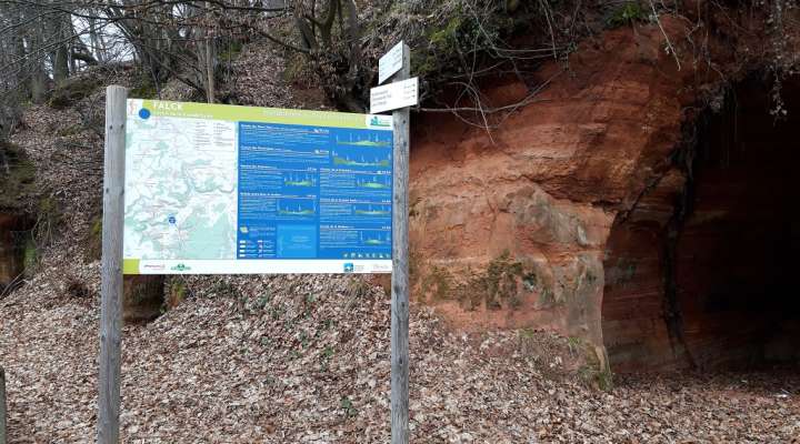 Rundgang durch die große Weide