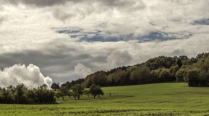 Spaziergang zwischen Wäldern und Gärten