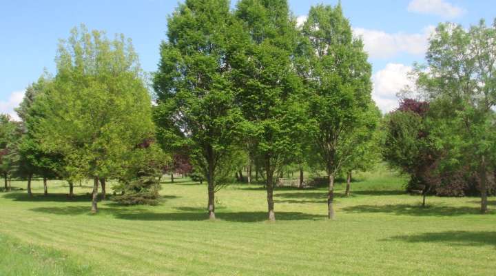 Rundgang um den kleinen Teich