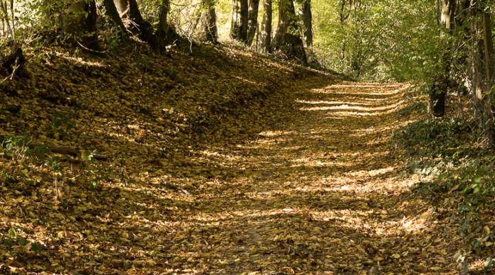 Rundgang zu den Waschhäusern