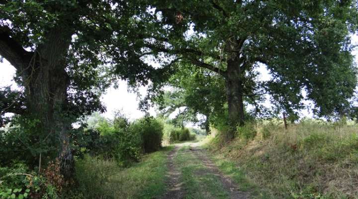 Rundgang Kreuze und Oratorien