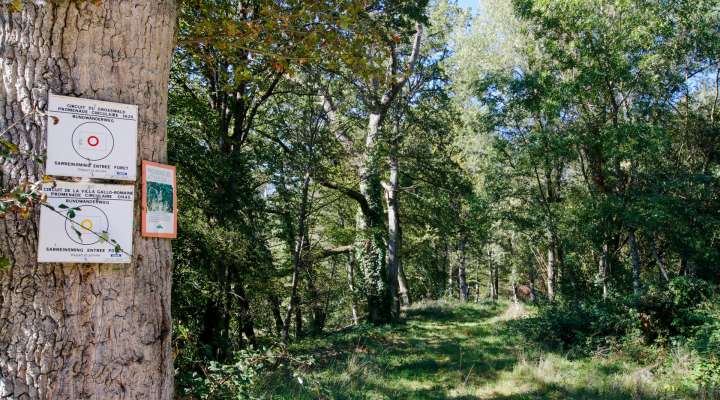 Grosswald Rundwanderung