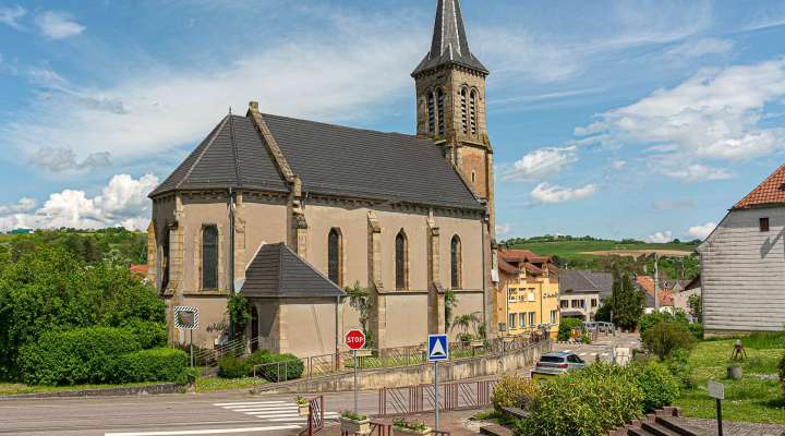 Wildschweinweg zur Bliestalhochebene