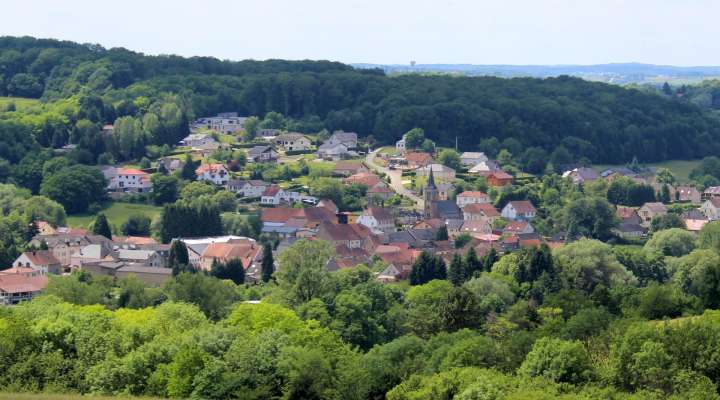 Wildschweinweg zur Bliestalhochebene
