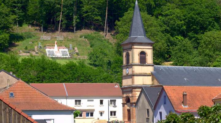 Der Wald von La Houve