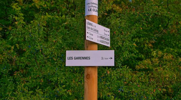 Verbindung Boucle de Sainte-Anne - Les coteaux d'Albestroff