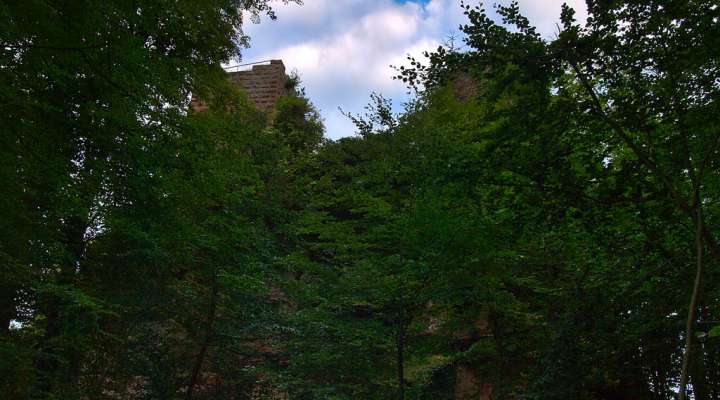 IM SCHATTEN DER GROSSEN ARNSBURG