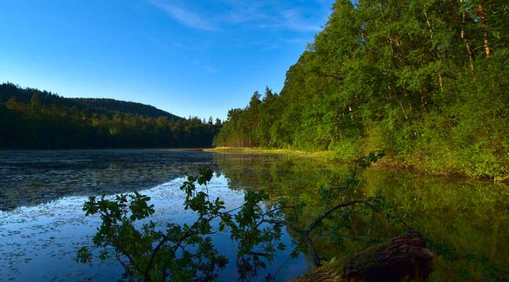 Am Rande des Wassers