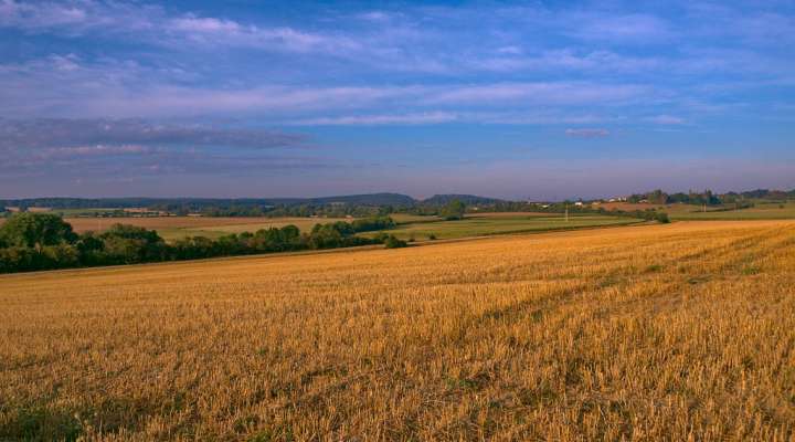 Verbindung Löwenbrunnen - Schulweg
