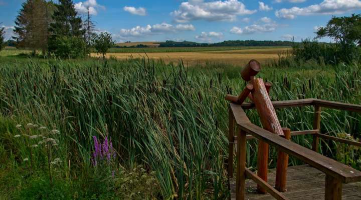Schleife des Bois de Chaumont
