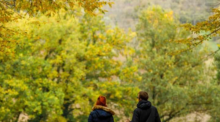 Circuit du bois de Thionville