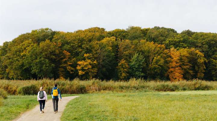 Wanderung um der Marais-Weiher