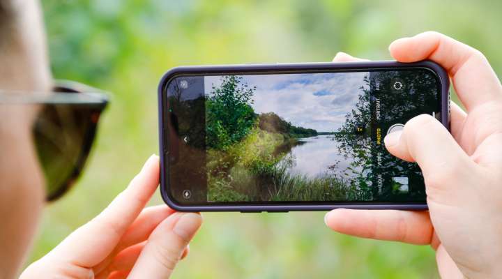 Die Eiche und das Schilfrohr