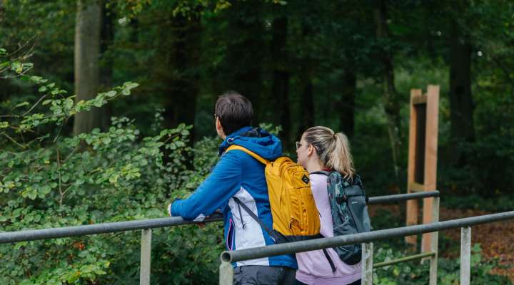Rund um den Marais-Weiher