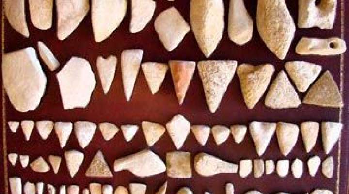 Musée local de géologie et archéologie de Faulquemont