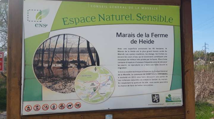 Le sentier du marais - étang de l'Escherbruch