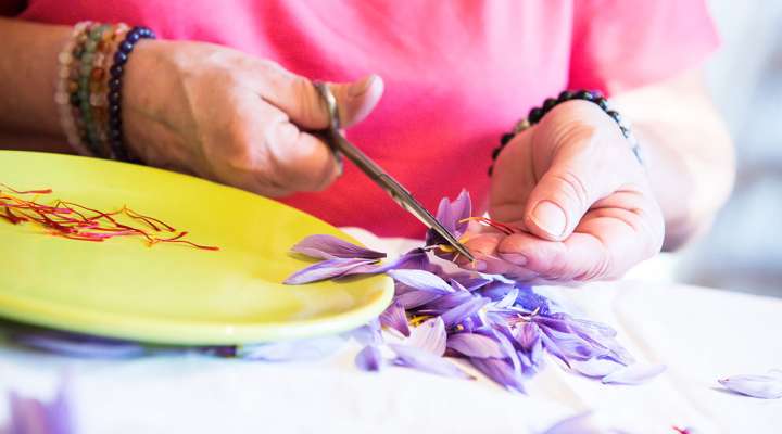 Betty nature le safran longevillois