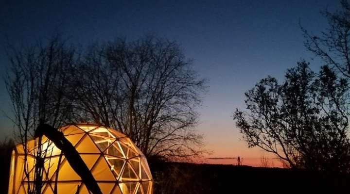 Ungewöhnliche Nacht in der Vogelkuppel