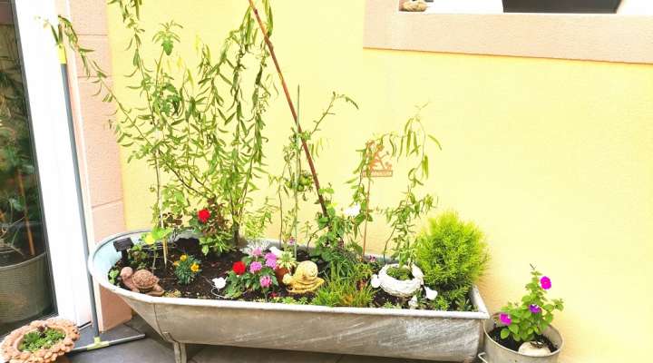 Gîte Fairytale memories