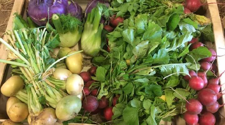 Ferme à Vatimont on sème