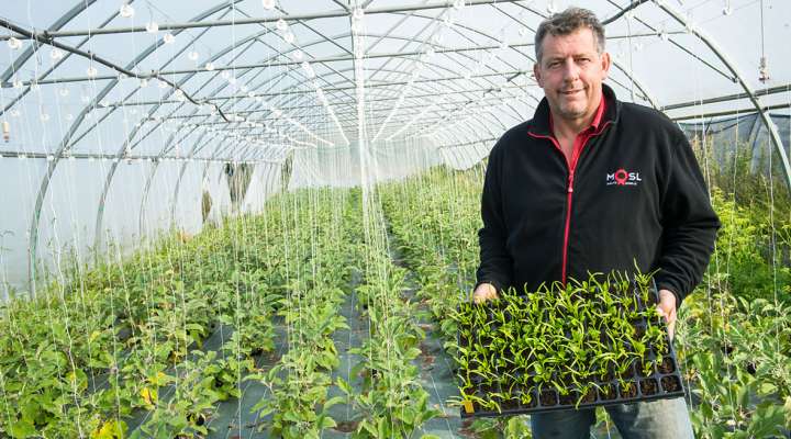 Les jardins bio du Tanzgarten